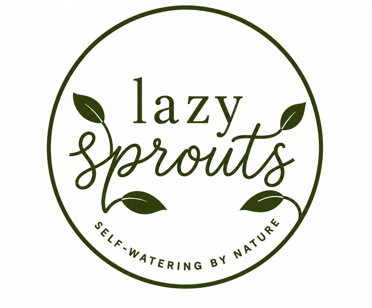 Lazy Sprouts UAE